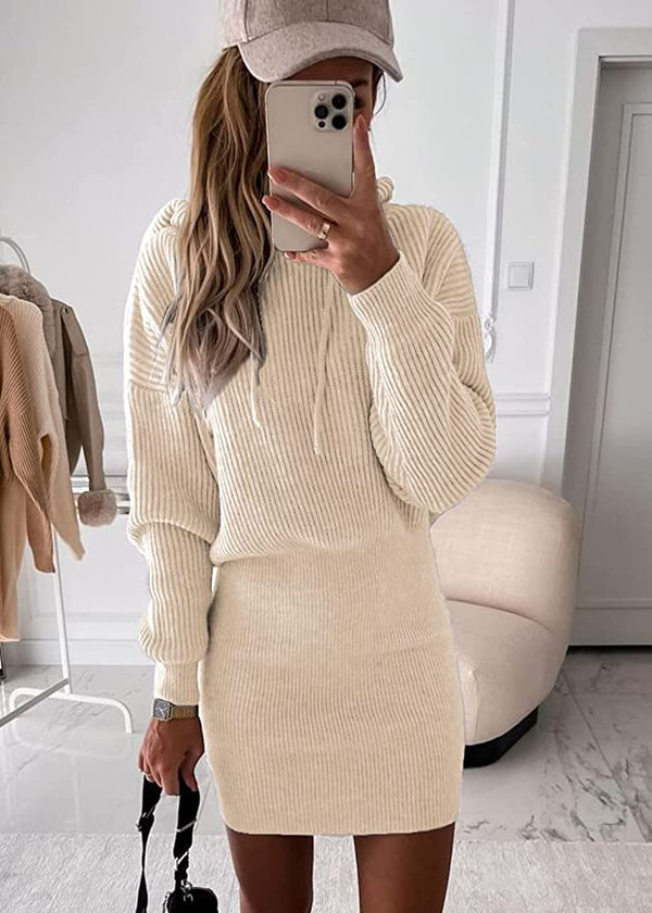 Mountain View Hooded Knit Dress