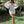 Load image into Gallery viewer, Faye Long Sleeve Dress
