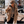 Load image into Gallery viewer, Hunter Teddy Jacket - Camel