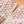 Load image into Gallery viewer, Gia Lace Dress - White + Nude - Daily Chic